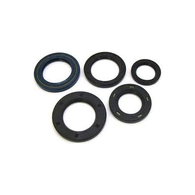 Engine Oil Seal Kit
